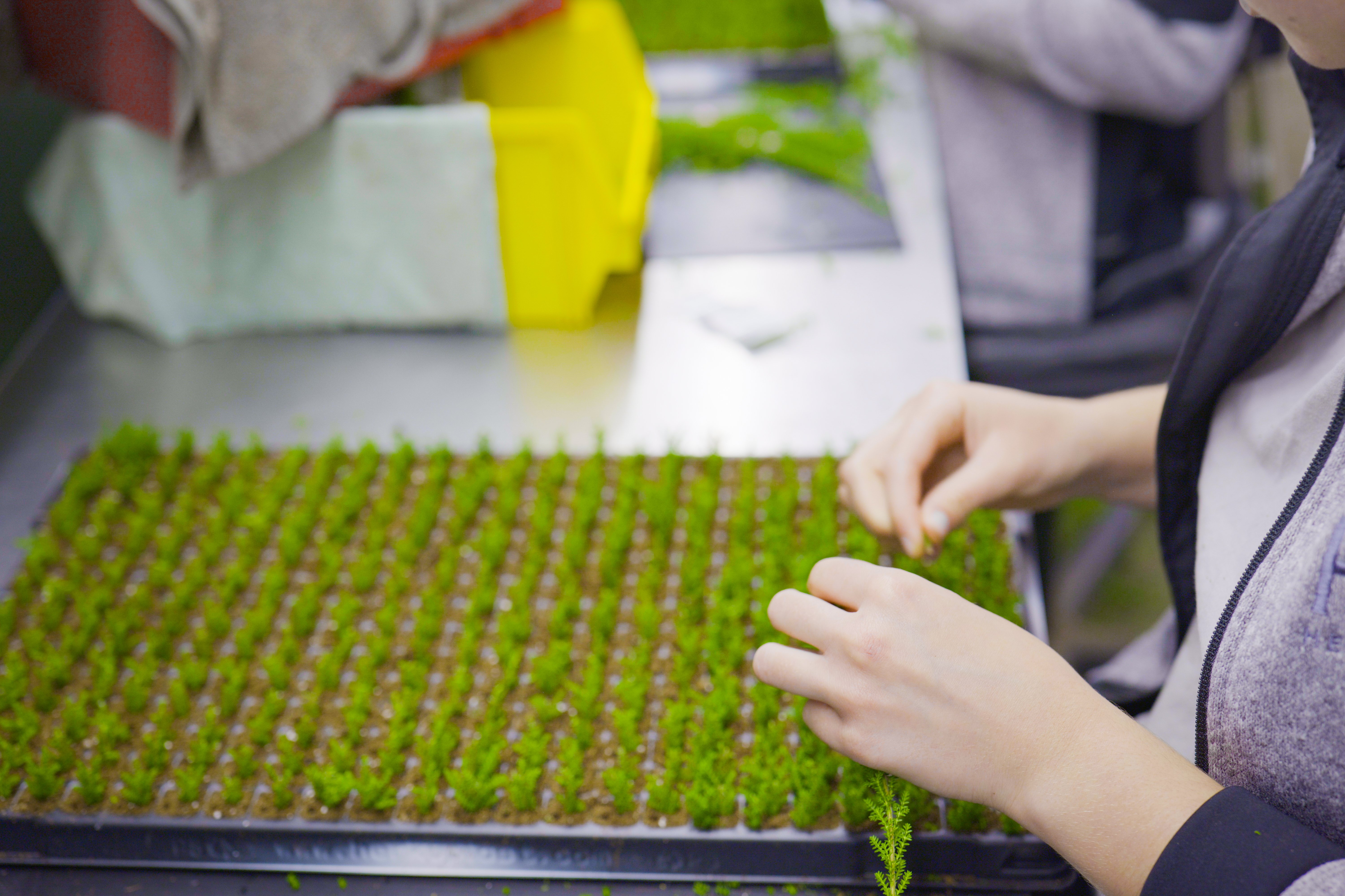 Gartenbau Bartholme Flächenfoto Betrieb